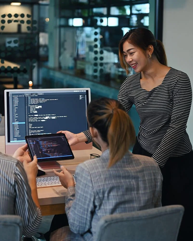 Web Development